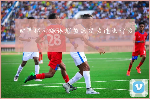 世界杯买球体彩被认定为违法行为